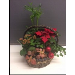 Planted Christmas Basket