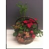 Planted baskets