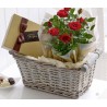 Miniature Rose plant with Chocolates