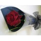 A Single Red  Rose in cellophane