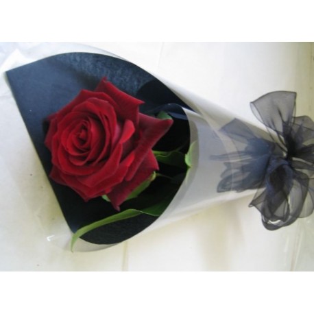 A Single Red  Rose in cellophane