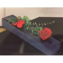 Single Red Rose in a Box