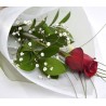 Single Red Rose